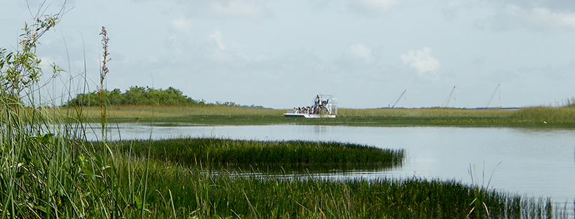 Everglades airboat ride