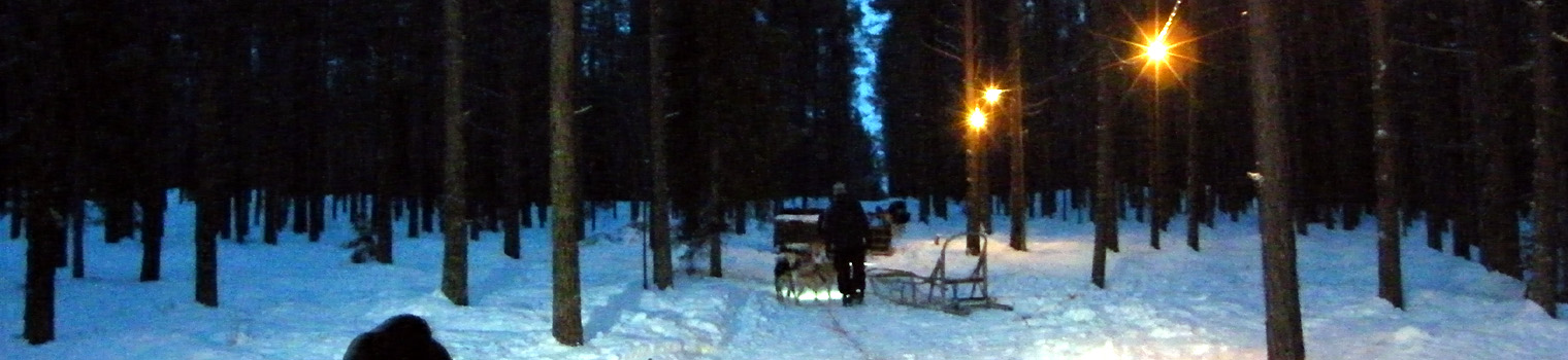 Trained husky drivers