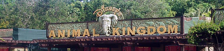 Disneys Animal Kingdom